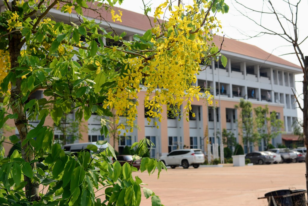 DSC 9817